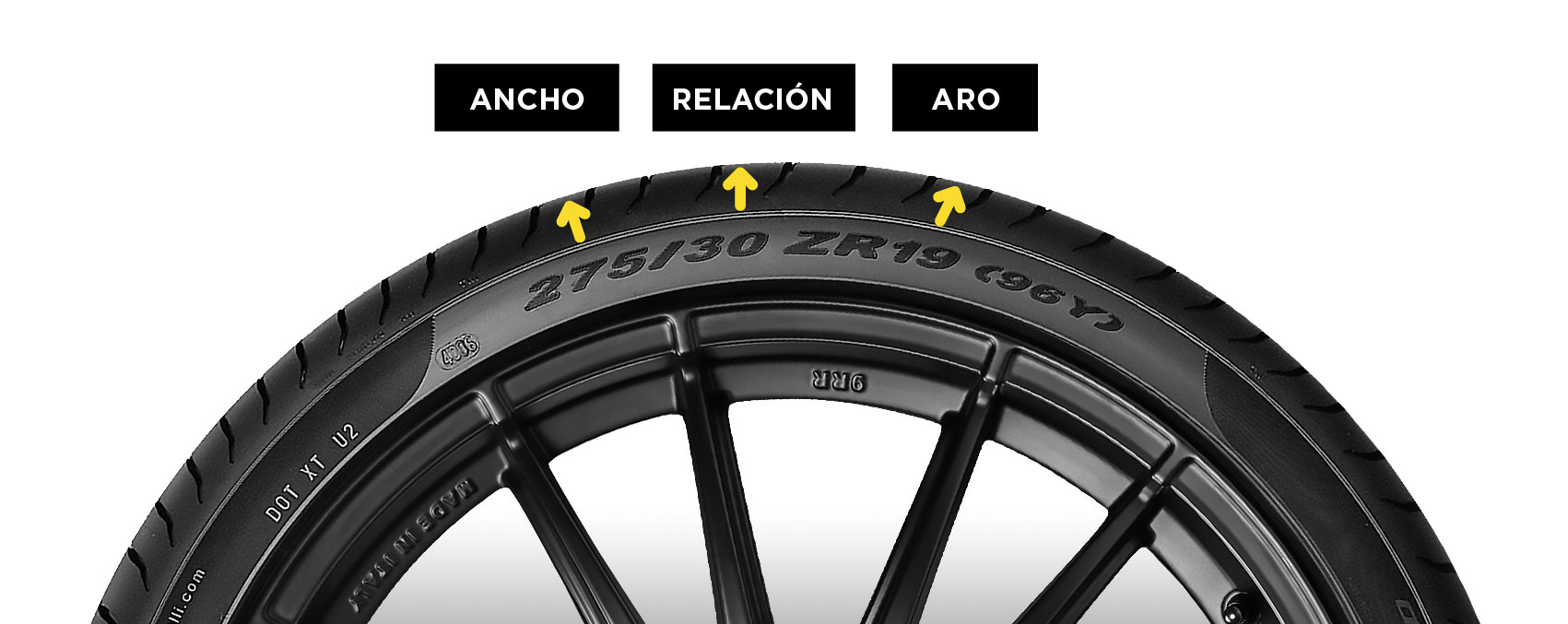 buscador2024-02