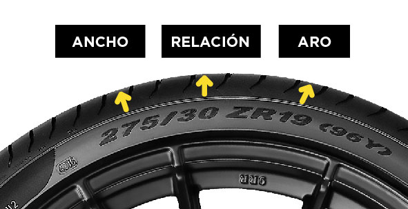 buscador2024-04